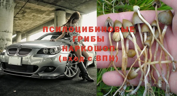 дурь Вязьма