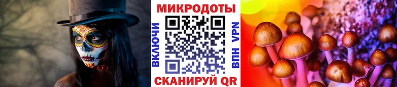 Псилоцибиновые грибы ЛСД  Купить  Кологрив 